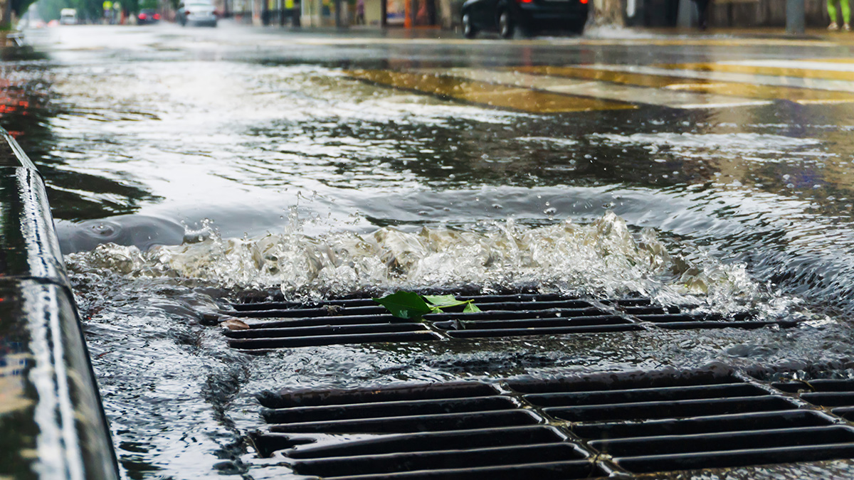 Close-up of stormwater rushing into a metal street grate during a heavy rain event on an urban street